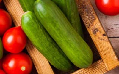 Fresh Tomato Cucumber Salad